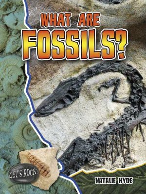 What are Fossils? - ebook